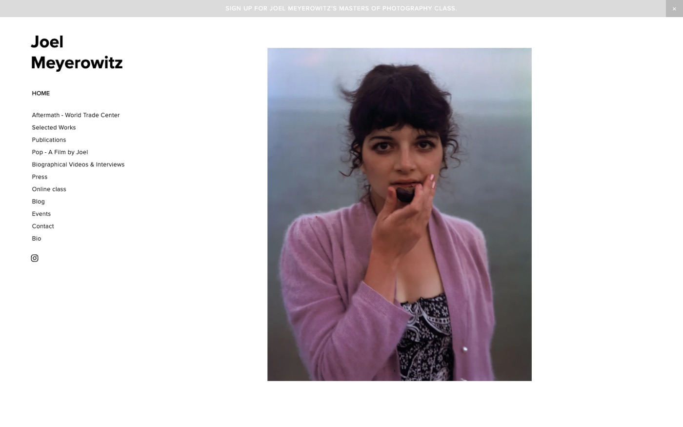 Joel Meyerowitz home page